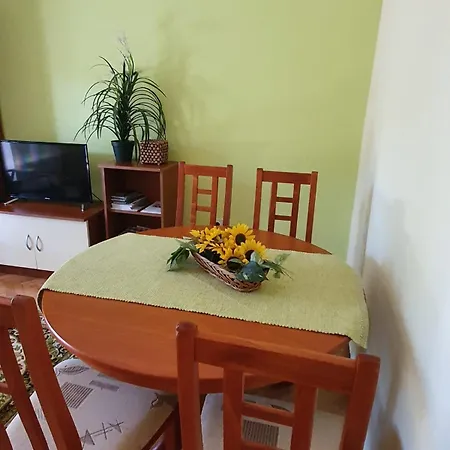 Eva Appartement Umag