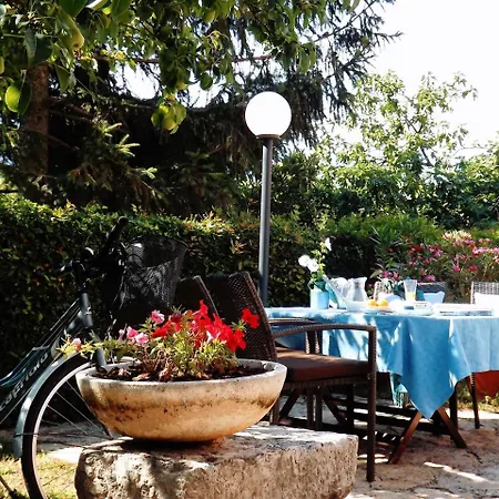 Eva Appartement Umag