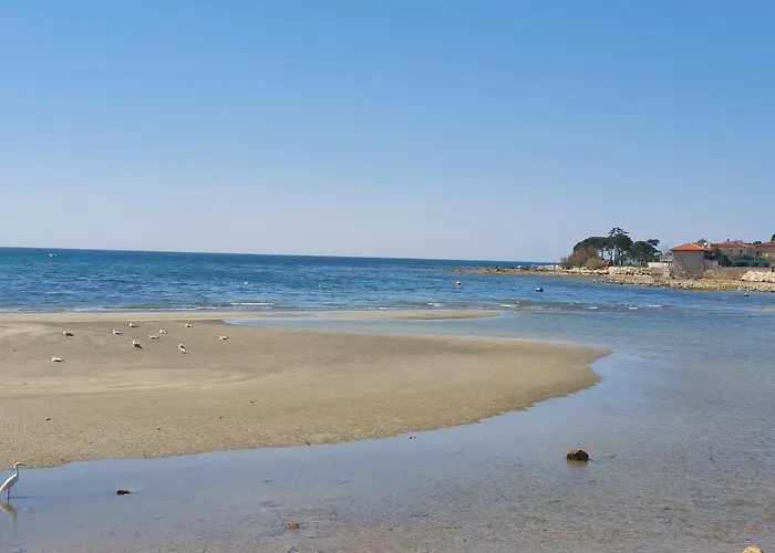 Eva * Umag
